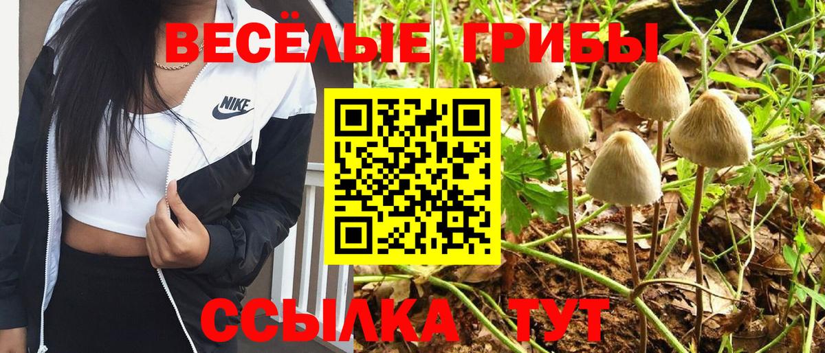 Галлюциногенные грибы GOLDEN TEACHER  Псилоцибиновые грибы Magic Shrooms  Вход с VPN  Саянск 